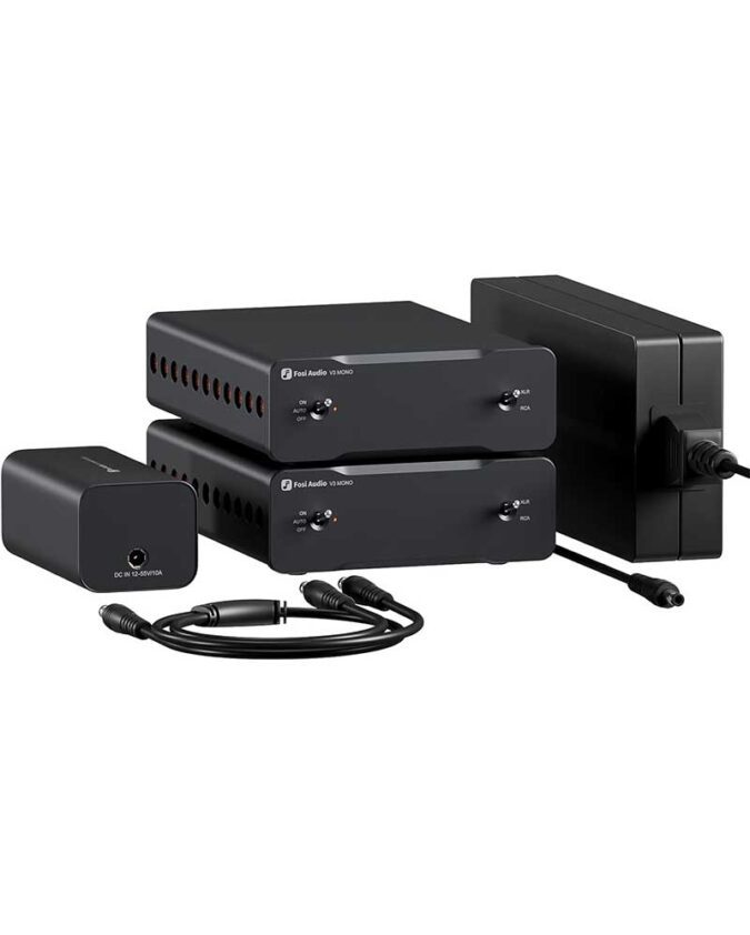 Coppia Fosi Audio V3 Mono